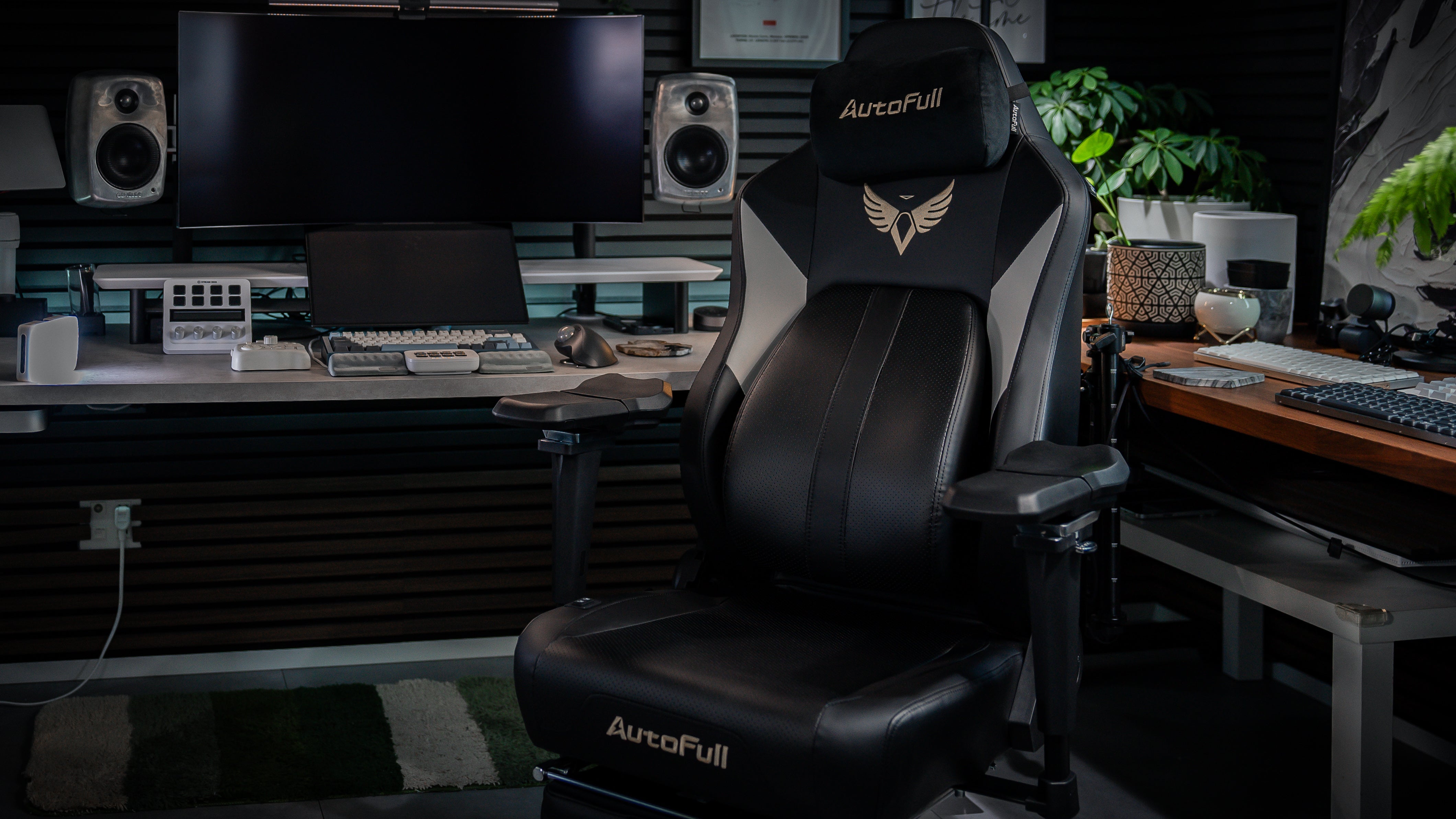 AutoFull chair colors